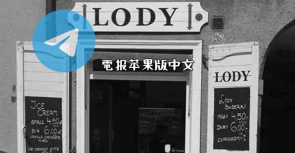 電报苹果版中文