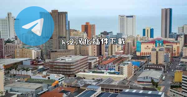 hs2汉化插件下載