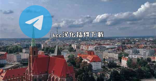 bcc汉化插件下載