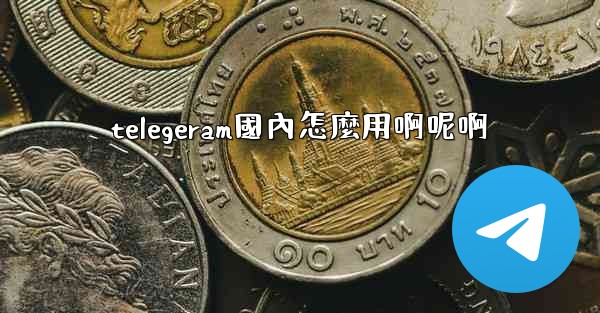 telegeram國內怎麼用啊呢啊
